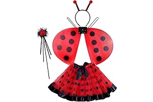 Charming Butterfly Ensemble with Ladybug Tiara