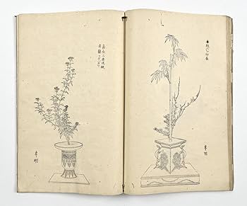 Amazon.co.jp: 生け花『専明挿華集』1冊 池坊専明 生花図集 華道