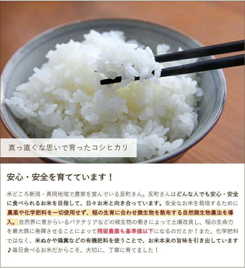 Amazon.co.jp: 新潟産コシヒカリ 玄米 10kg : 食品・飲料・お酒