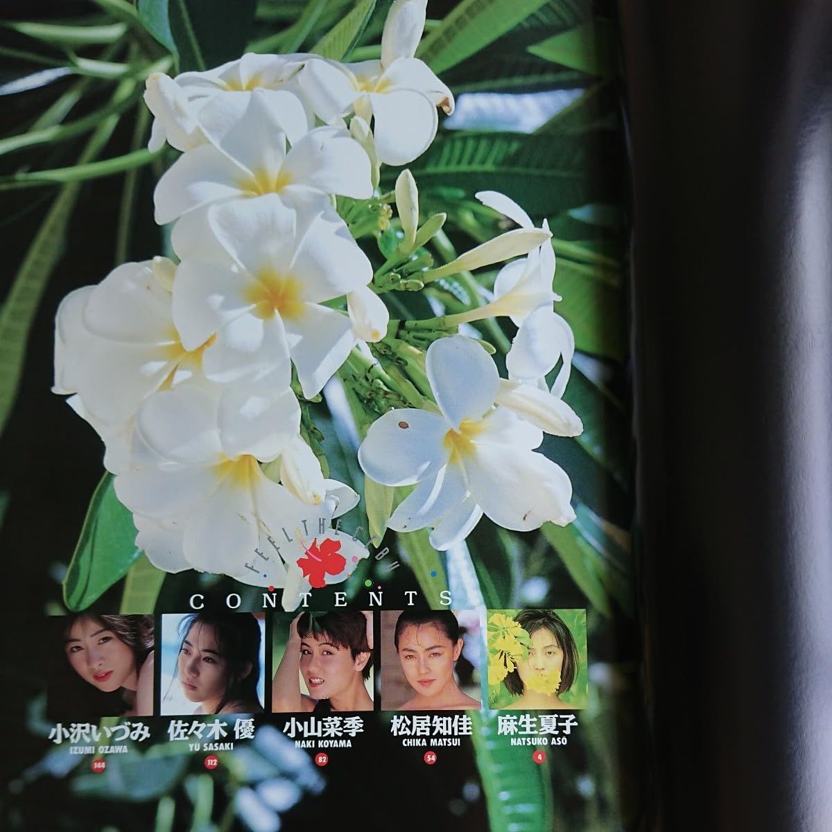 高橋生建　写真誌　雑誌 Amazon.co.jp: 235-79 セブ物語 高橋生建 写真集 昭和レトロ