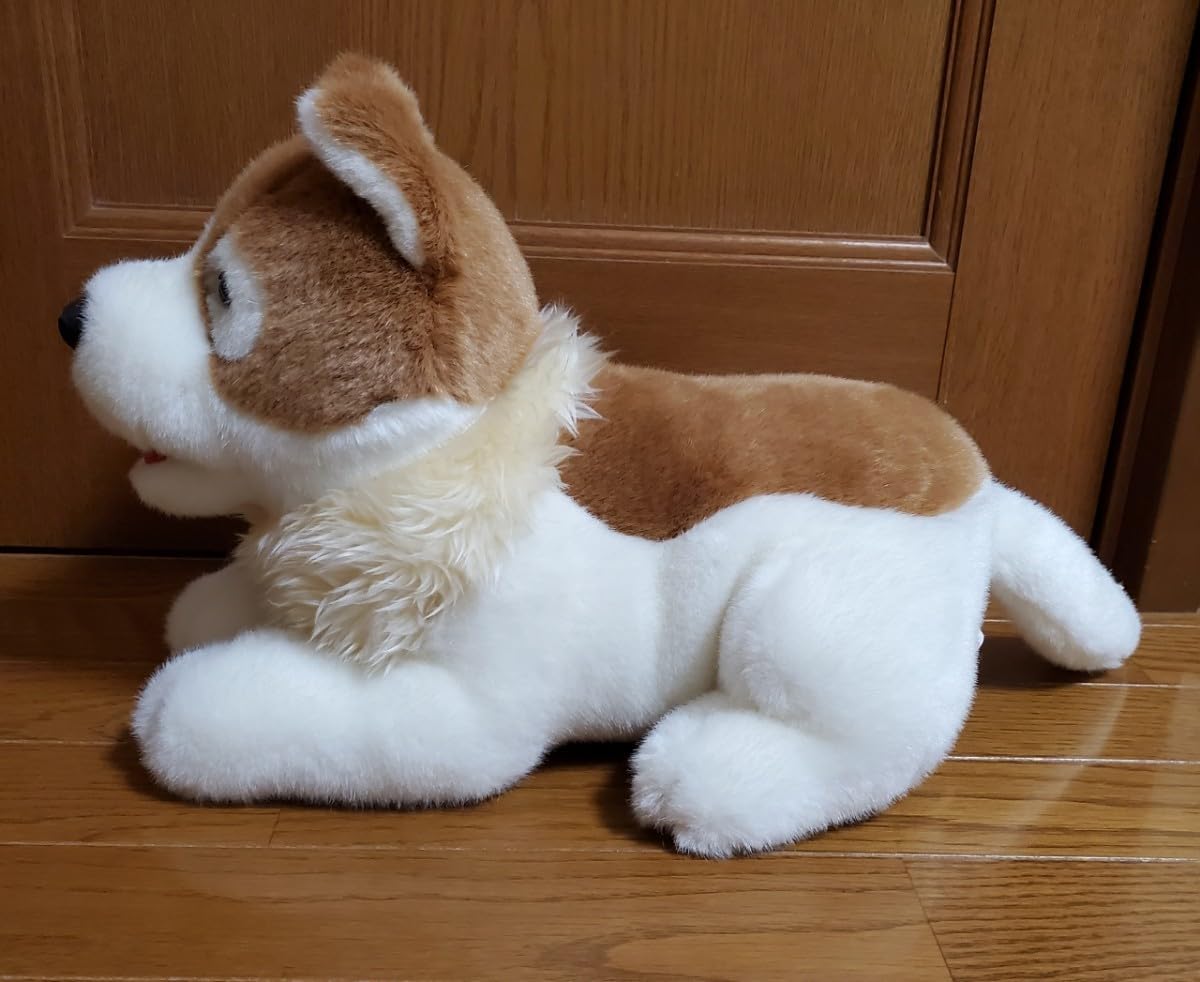 Amazon.co.jp: フランダースの犬 パトラッシュ ぬいぐるみ 世界名作 