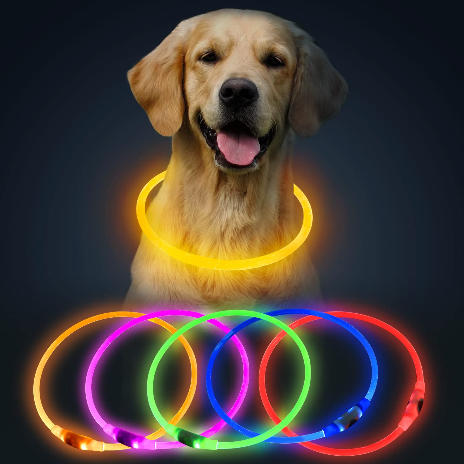 Collar de perro HiGuard LED recargable por USB, collar de seguridad iluminado que brilla en la oscuridad para ti y tus perros