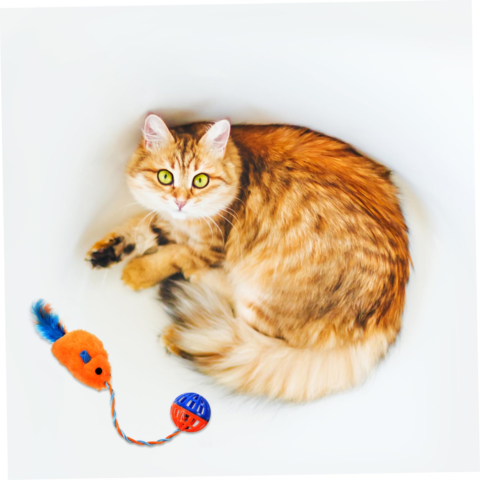 ifundom Jouet Souris pour Chaton en Peluche et Plastique avec Cloche Sonore, Jouet Interactif D'intérieur pour Divertissement et Exercice, Résistant aux Morsures