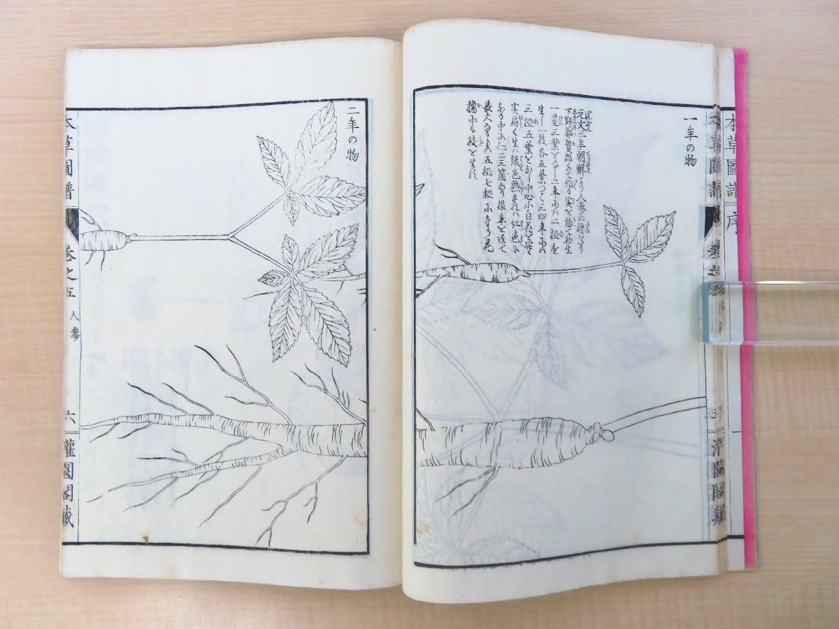 Amazon.co.jp: 岩崎常正著『本草図譜 山草部/芳草部』（全6冊揃）明治
