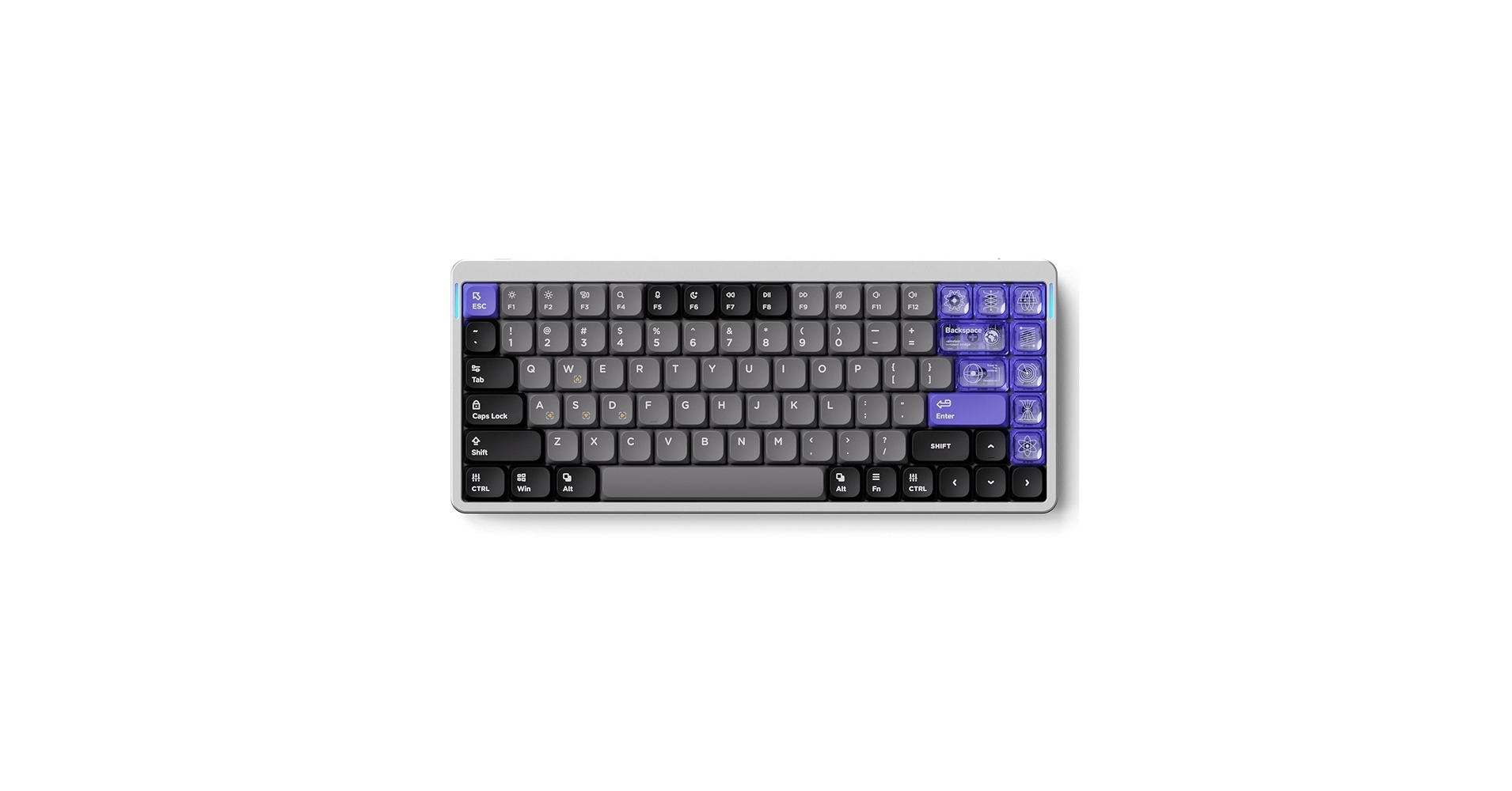 61z5MXDifdL.jpg_BO30,255,255,