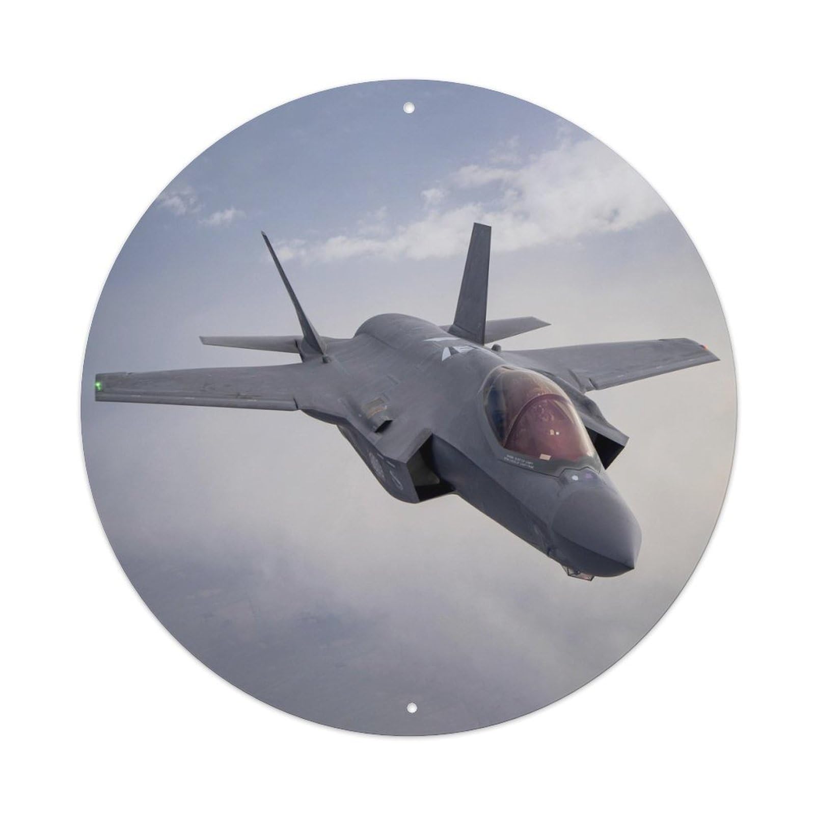 Olyhtr 8X8inch Classic Style F-35B Stealth Fighter Jet Military Aviation Metal Tin Sign