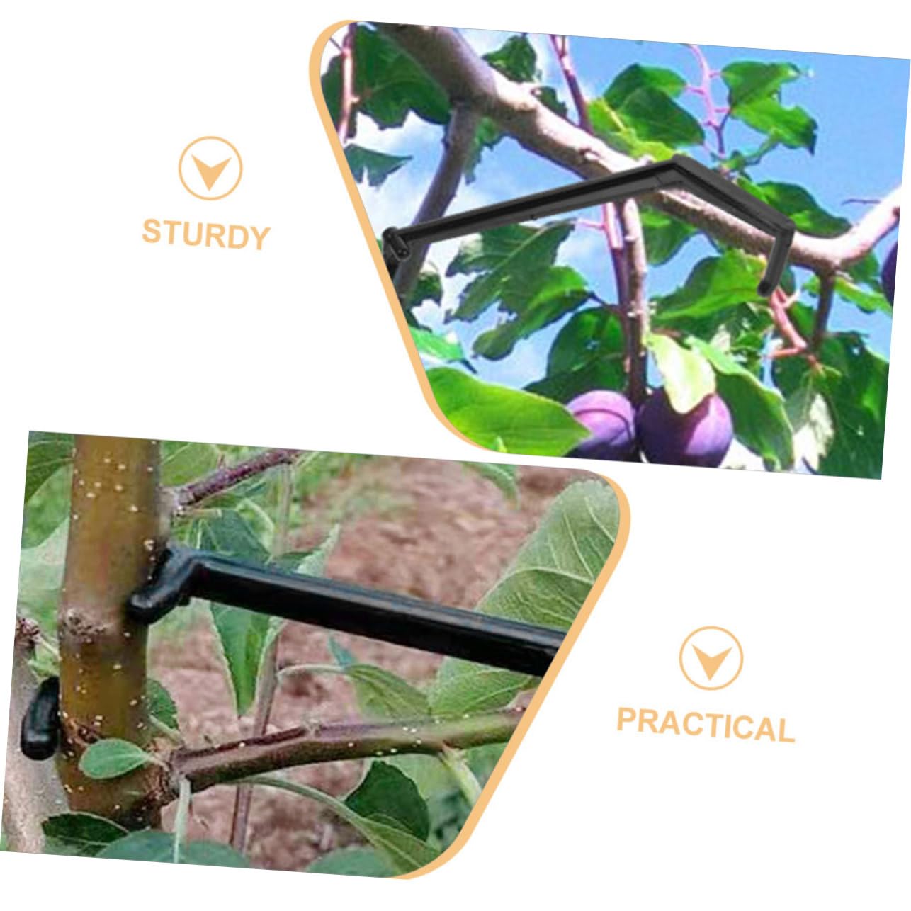 Toyvian 4 Sätze Pflanzenclips Verstellbare Zweigspreizer Für Obstbäume Langlebig Und Wiederverwendbar Zur Formgebung Und Wachstumsoptimierung Im Garten 30 Stück * 4