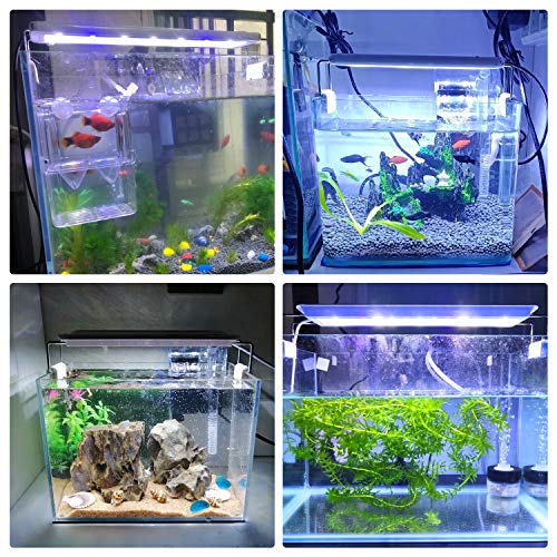LEDGLE 水槽ライト 10W アクアリウム ライト 56LED YGD-56LED の商品画像 2