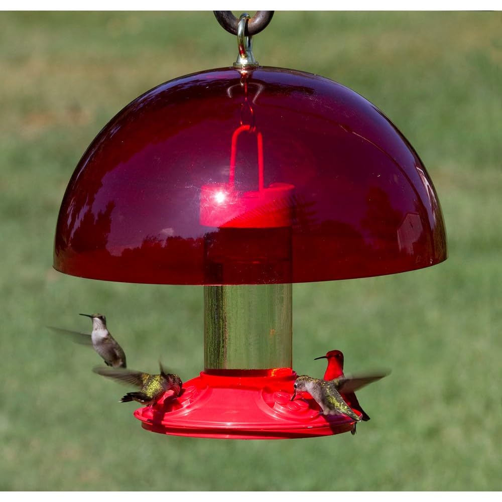 Photo 1 of *** check comments***    Songbird Essentials Hummer Helper 12 Inch Hummer Helmet - Bird Feeder Baffle - Dome Cover - Protects Nectar and Attracts Hummingbirds to Bird Feeders