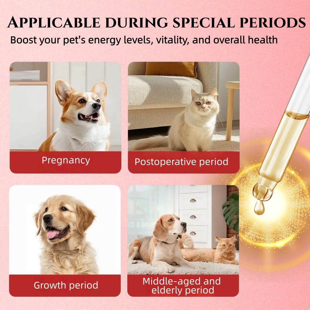 Flüssige Eisenpräparate für Katzen,2pcs Flüssiges Eisen Ergänzungen für Hunde,Hunde Eisen Tropfen mit Vitamin B12 & Folsäure,Katze Vitamine und Ergänzungen mit Vitamin C und B12,45ml