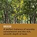 Every Man Jack Men's Beard Oil - Sandalwood Fragrance - Deeply Moisturizes and Softens Your Beard and Adds a Natural Shine - Naturally Derived with Shea Butter and Argan Oil - 1 fl oz
