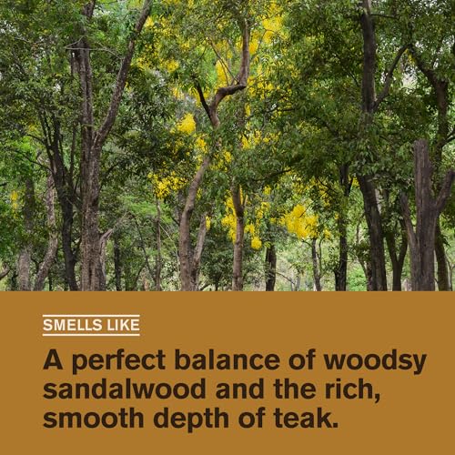 Every Man Jack Men's Beard Oil - view 3