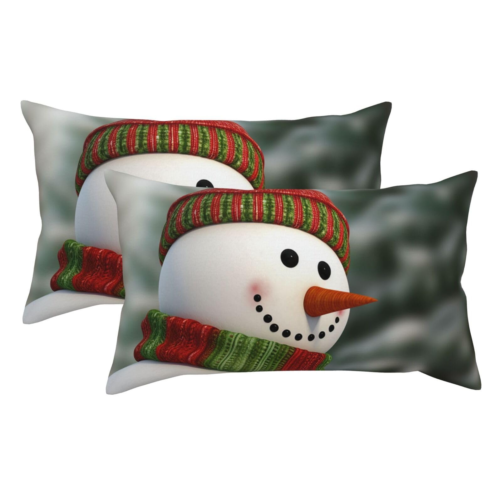 2 Pack King Size Pillow Cases for Hair and Skin Soft Breathable Pillow Case Covers with Hidden Zipper Smile Gaze Snowman Pillowcase 20x36 Inches Pillow Covers for Sleeping Gift