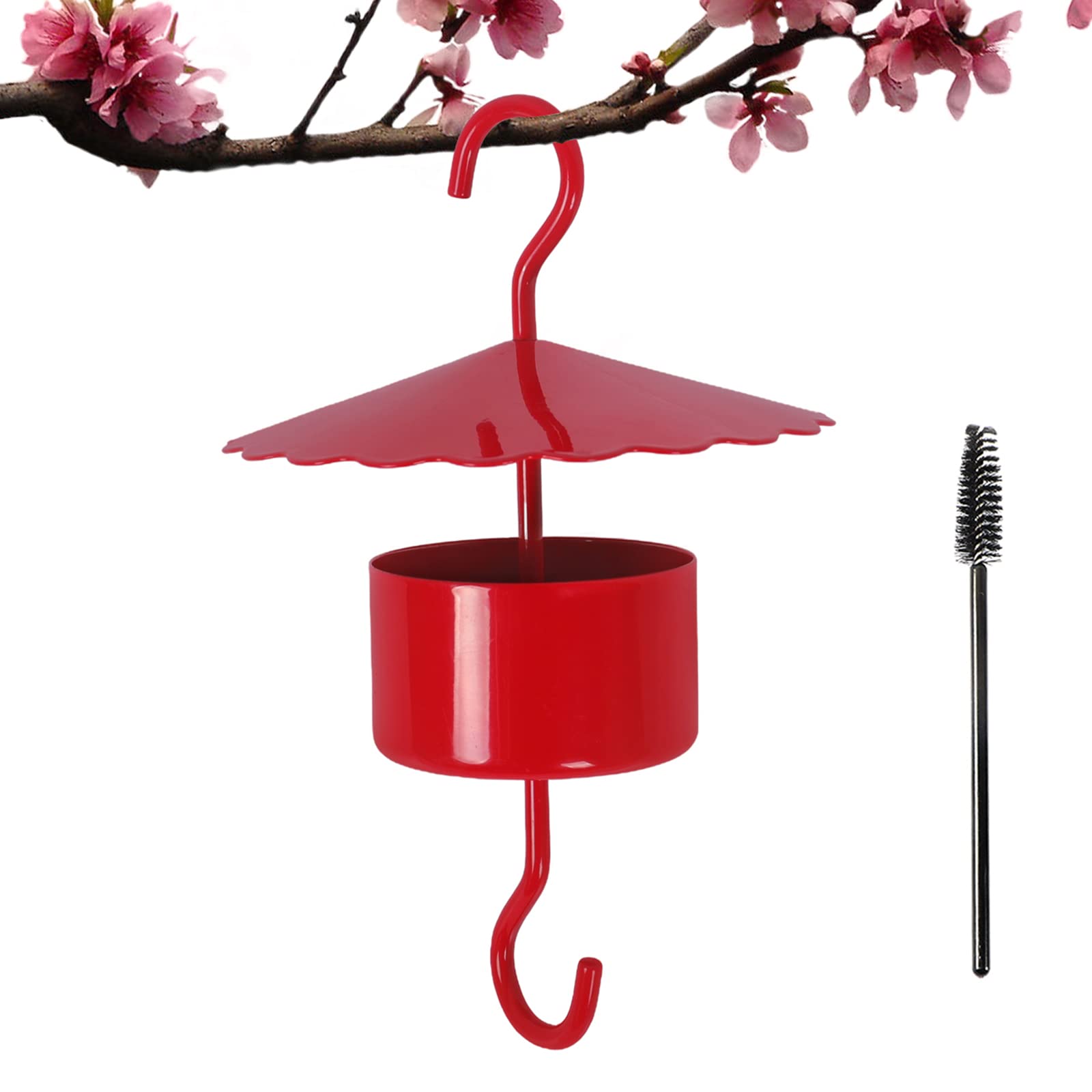 10 Best Ant Moat Hummingbird Feeders for Your Garden Hummingbirds Plus