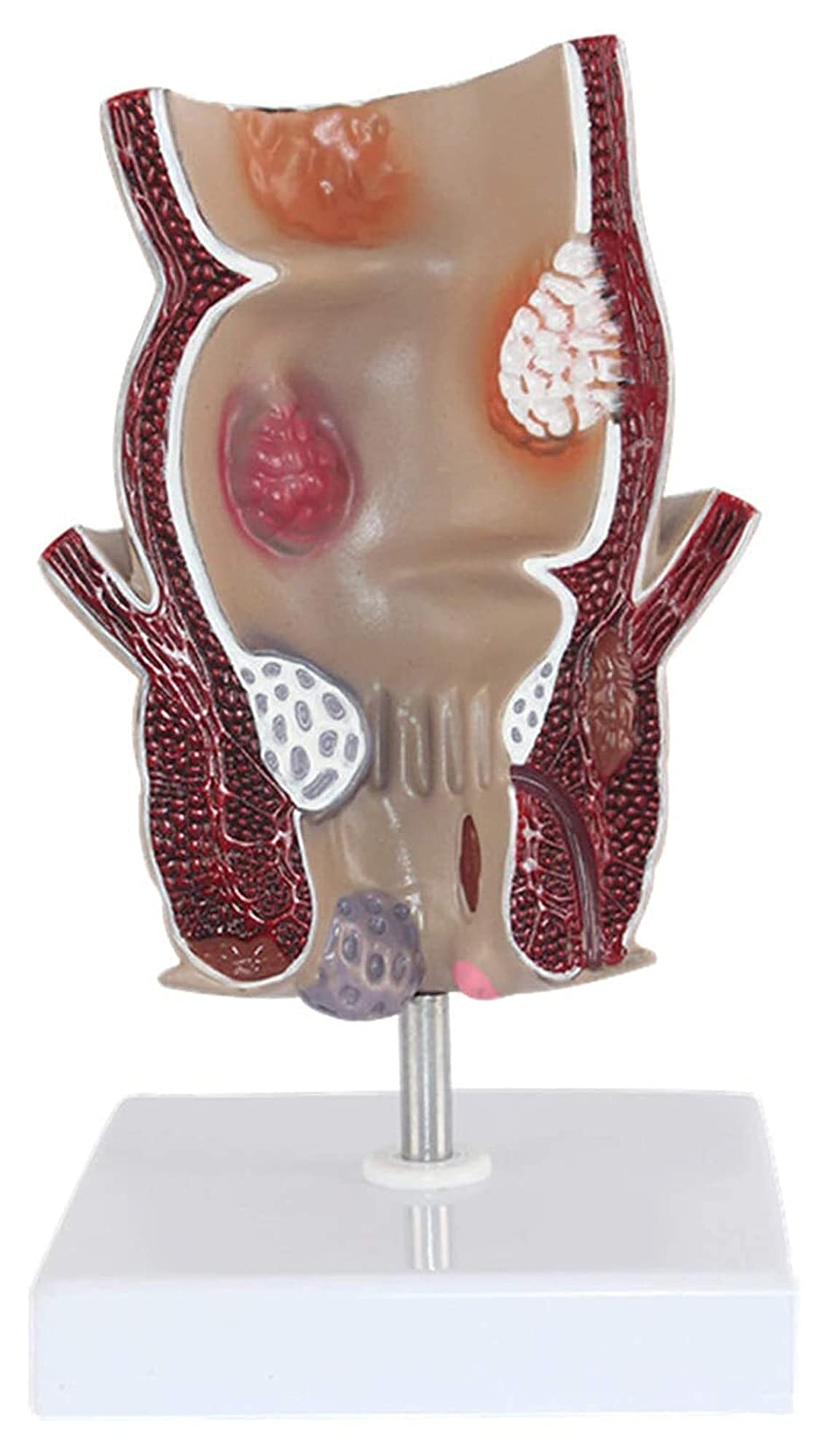 Porno va jinsiy aloqani onlayn tomosha qiling