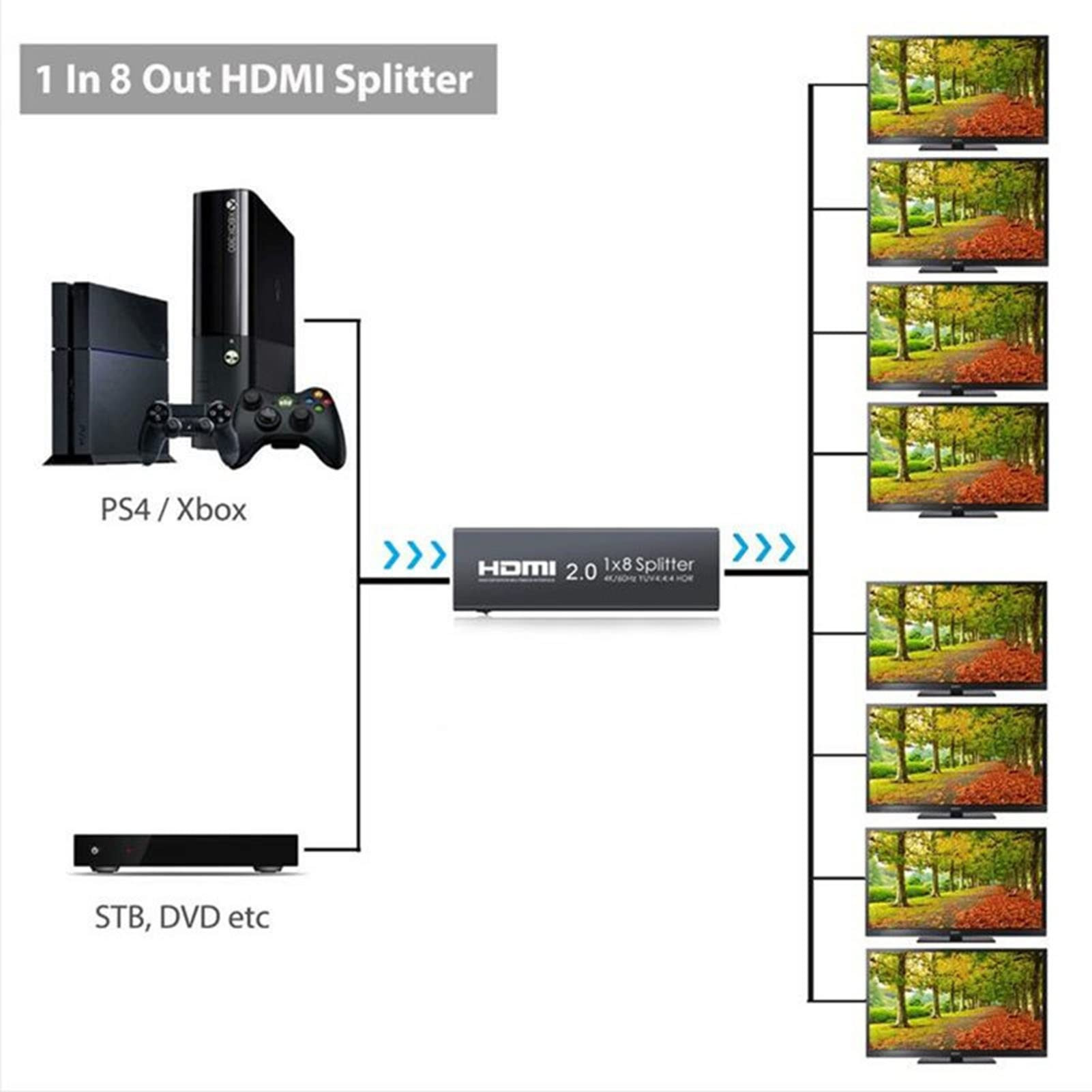 Splitter Duplicatore Hdmi 4K A 60 Hz 1 Ingresso 2/4/8 Uscite - con Cavo di Alimentazione Splitter da Gioco HD 1X2/4/8 Porte, 4: 4: 4, Schermi Duplicati/Specchio, per Xbox/Ps5 (8 Porte)