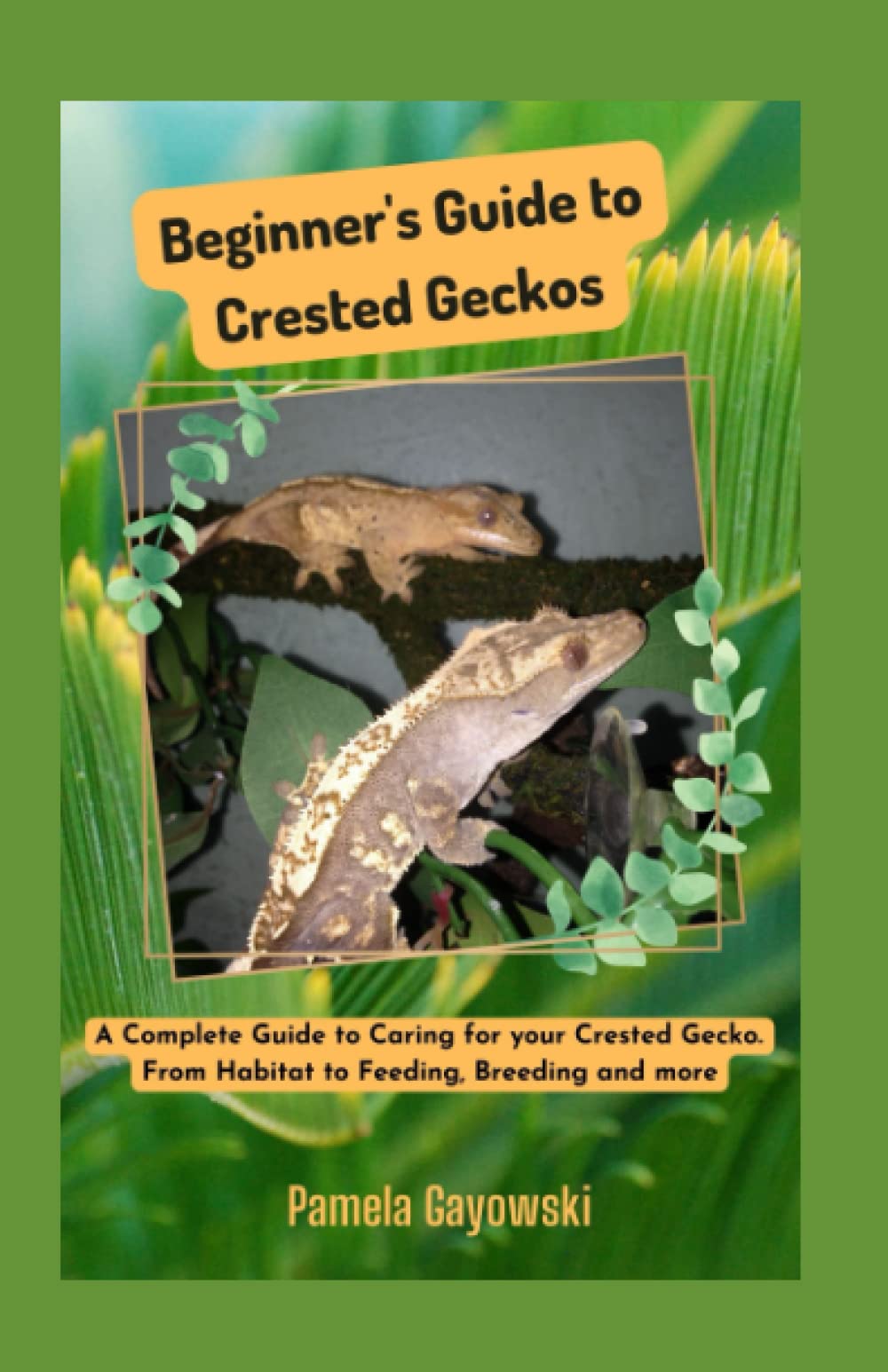 Beginners Guide to Crested Geckos