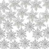 Acrylic Silver Glitter Snowflake Christmas Ornaments - Set of 24 Assorted Styles of Snowflakes - Clear Acrylic with Glitter - Winter Snowflake Decorations