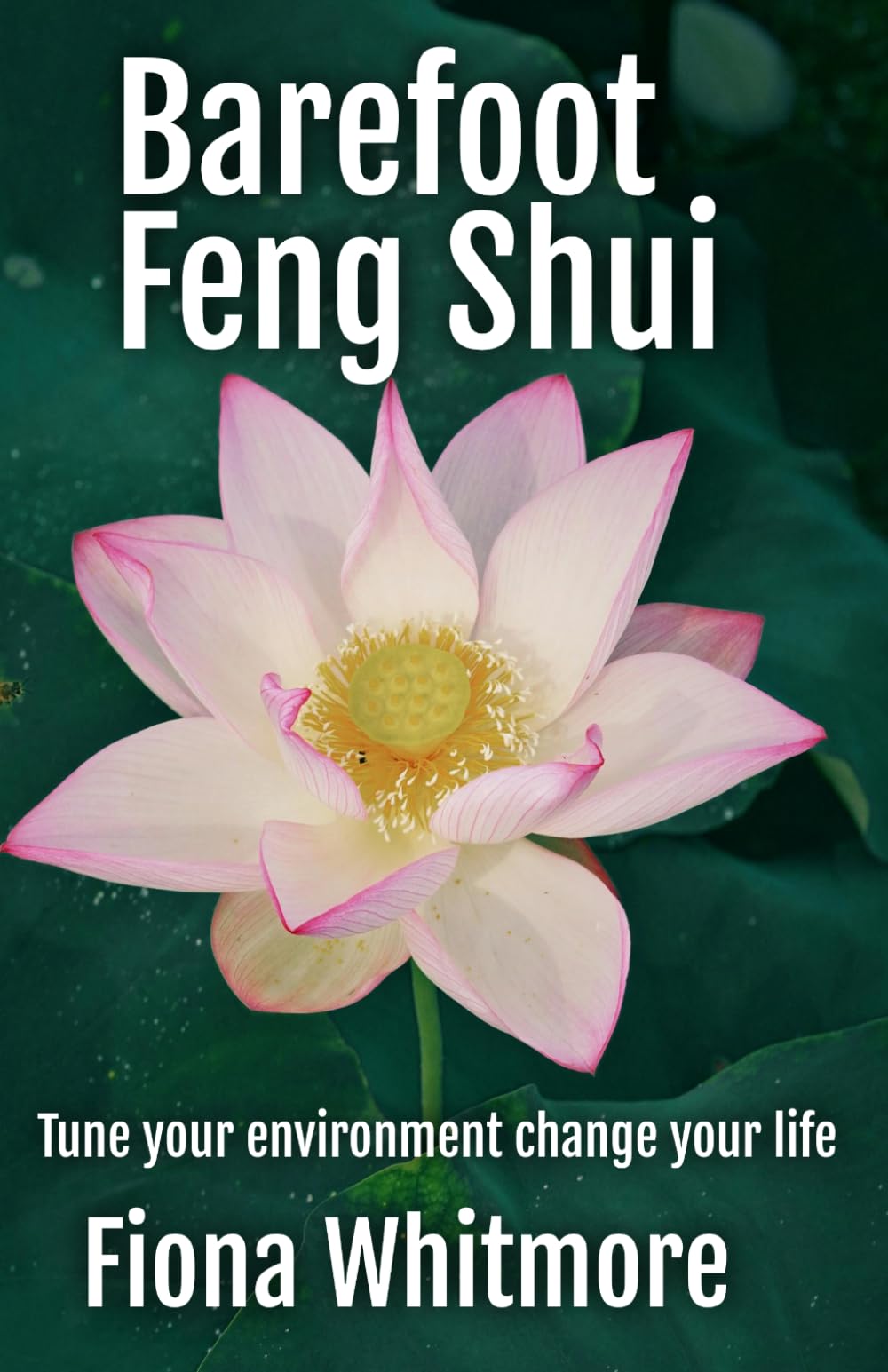 Barefoot Feng Shui: Tune your environment change your life!