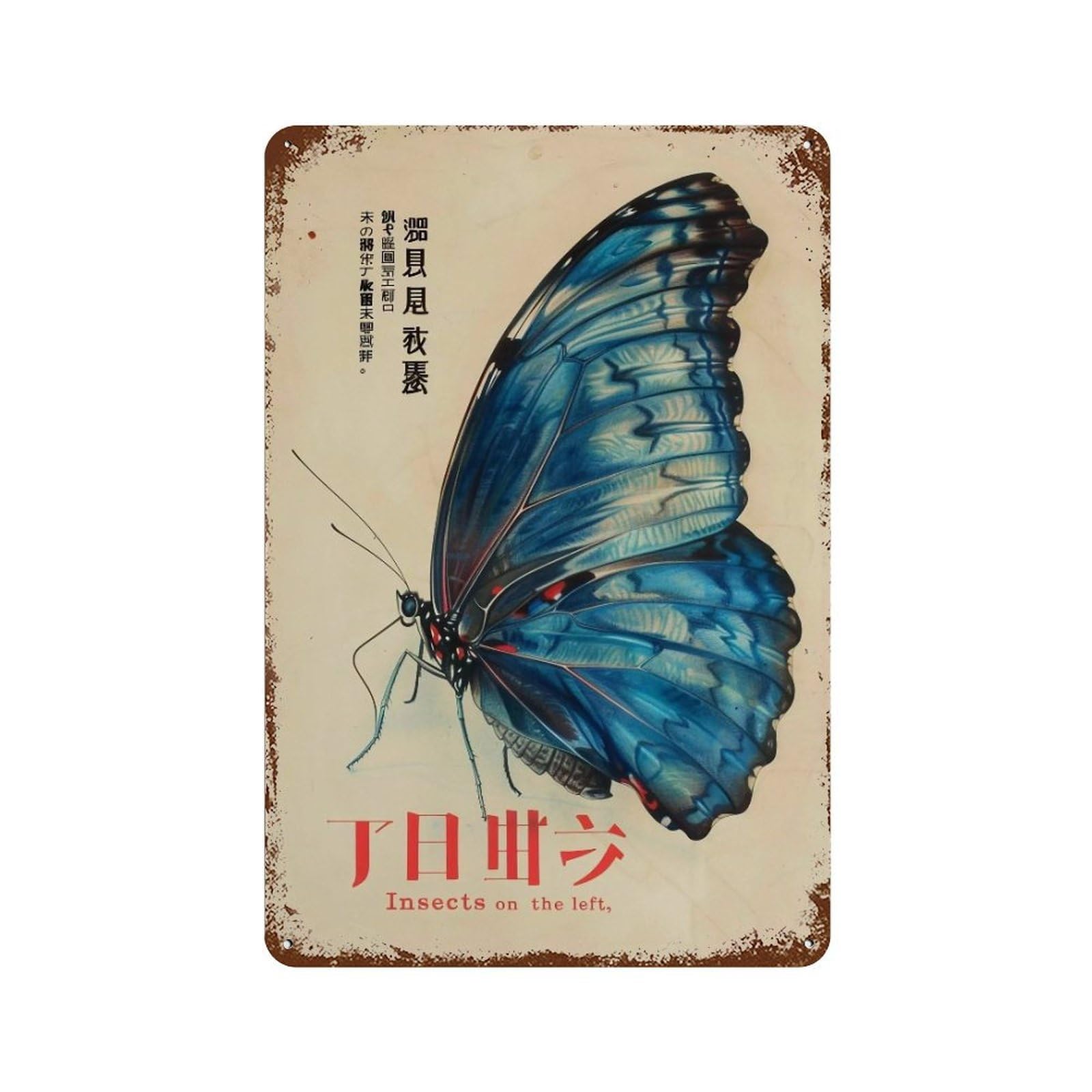 FHUYEURHRY Wings-of-the-Rising-Wind_01 Wall Decor Retro Iron Vintage Art Metal Tin Sign Poster Modern Home Cofffee Club Art Bar Shop Decorations Style 30x20cm
