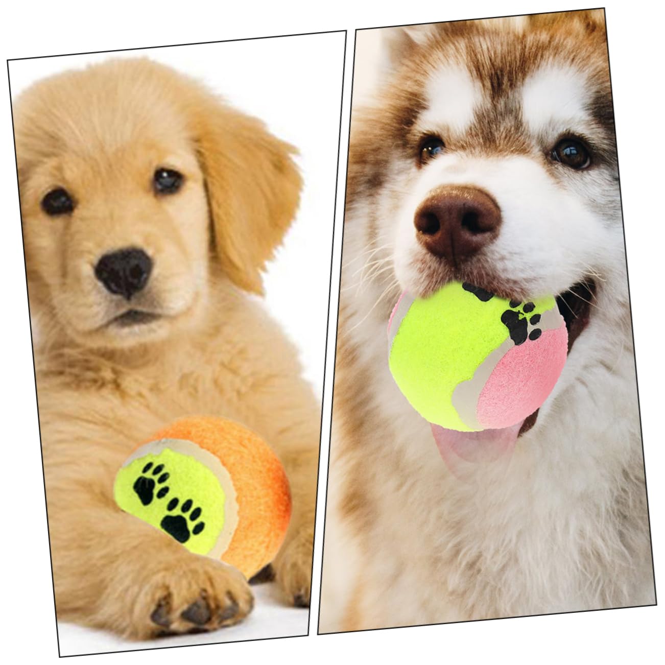 Garneck 16pezzi Palline Di Gomma Per Cani Palline Interattive Da Masticare Giocattoli Per Di Resistente Ai Morsi Cadute Facile Da Pulire e Trasportare