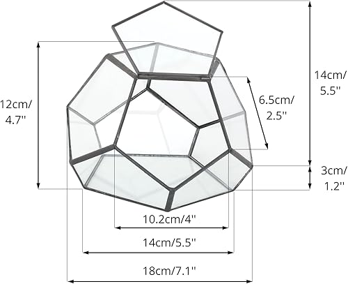 Miniatura 3 de NCYP Terrario geométrico de vidrio pequeño con puerta, 7.1 x 7.1 x 4.7 pulgadas, maceta cerrada con pentágono negro para suculentas, plantas de