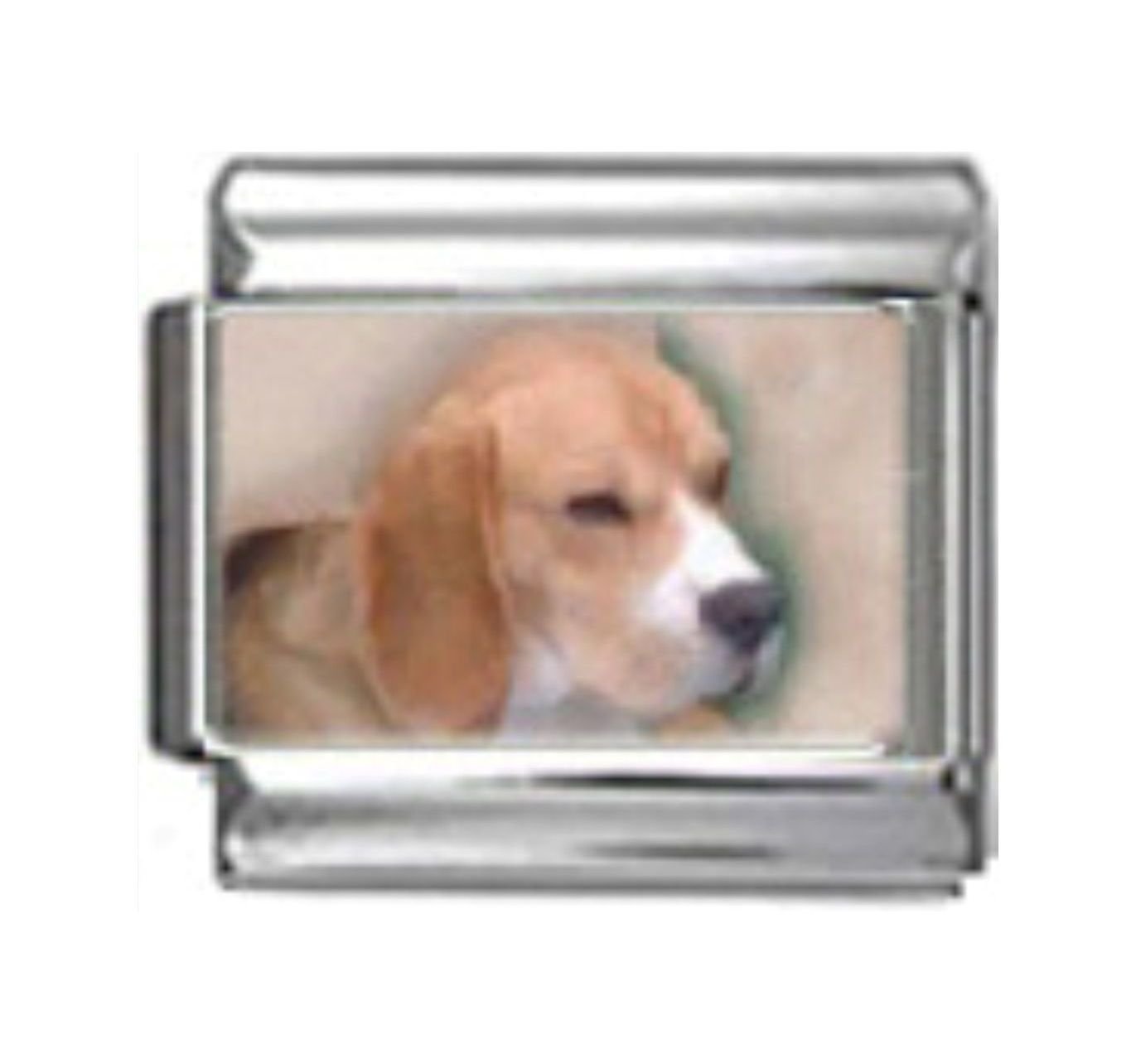 Stylysh Charms Basset Hound Dog Photo Italian 9mm Link DG052 Fits Tradition