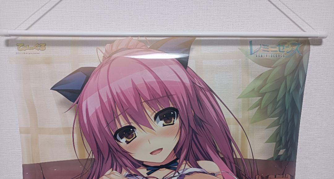 Amazon.co.jp: てぃ〜ぐる レミニセンス アクセラ メロンブックス特典 