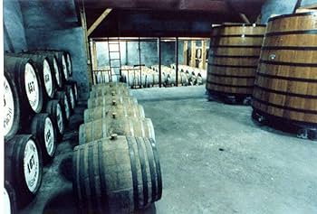 ブランデー Kawahara アメリカン、ベロシティ。 | Snatch Cycles