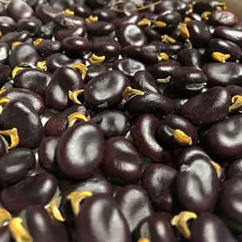 61z6TH3R5OL._AC_UF350,