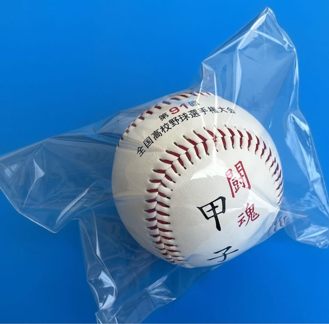 高校野球記念ボール（第91回全国高校野球選手権大会） 第91回全国高校野球選手権大会 記念ボール