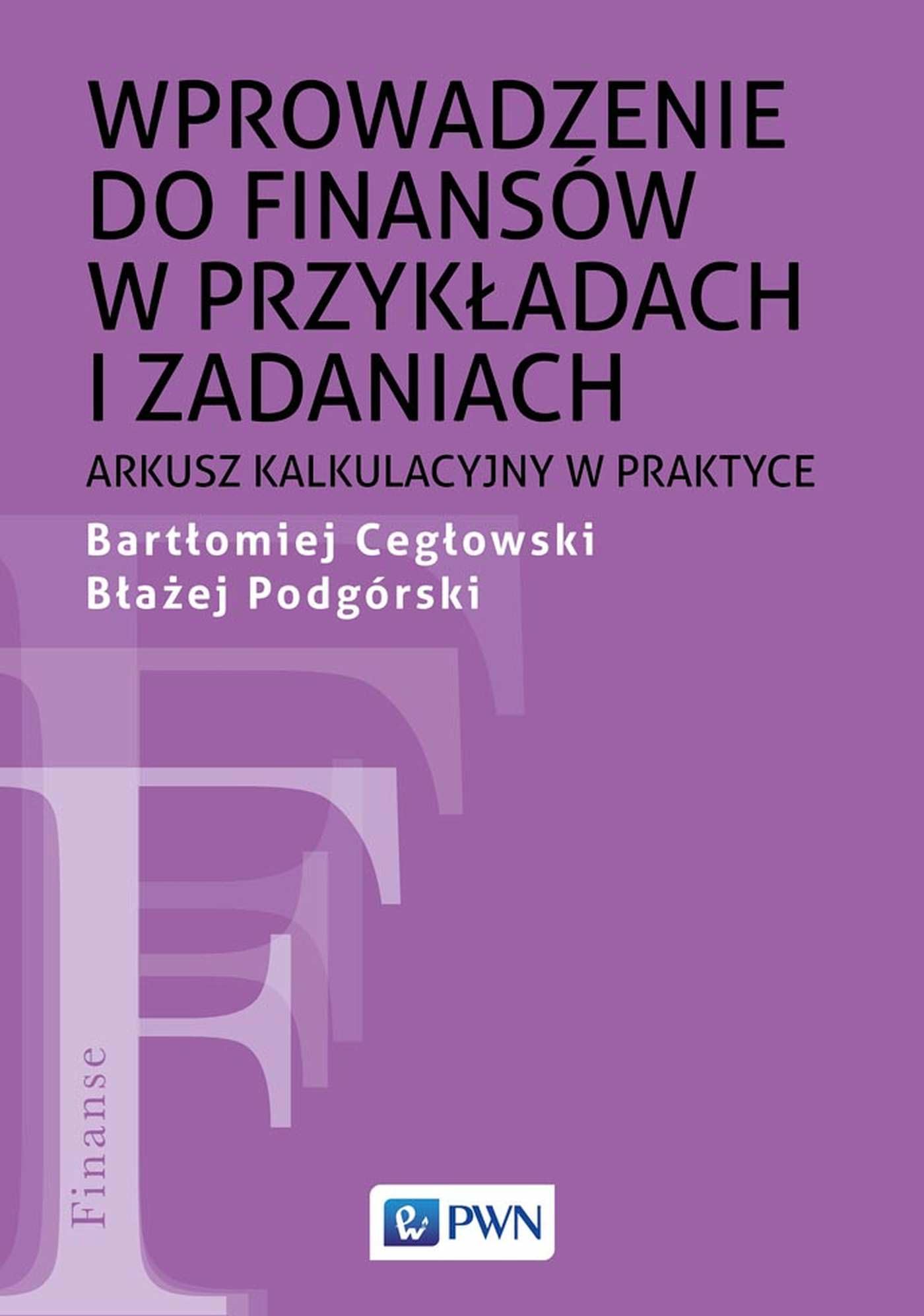 Wprowadzenie do finansów w przykładach i zadaniach: Arkusz kalkulacyjny w praktyce