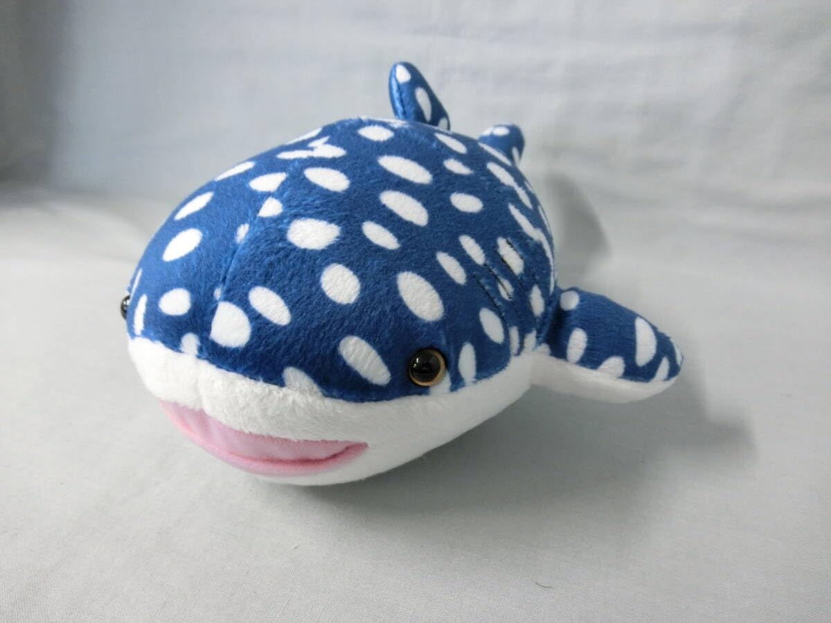 Amazon.co.jp: 海遊館 ジンベイザメ ぬいぐるみ ブルー タグ無し