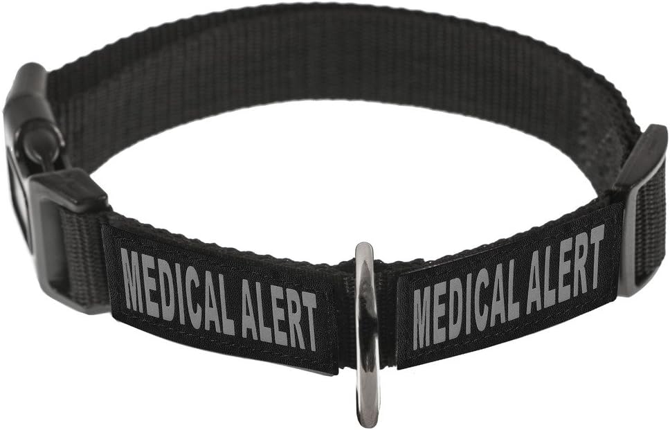 Dogline Omega Nylon Collar for Dogs with 2 Removable Guard Dog Patches (Custom, 14"-18")