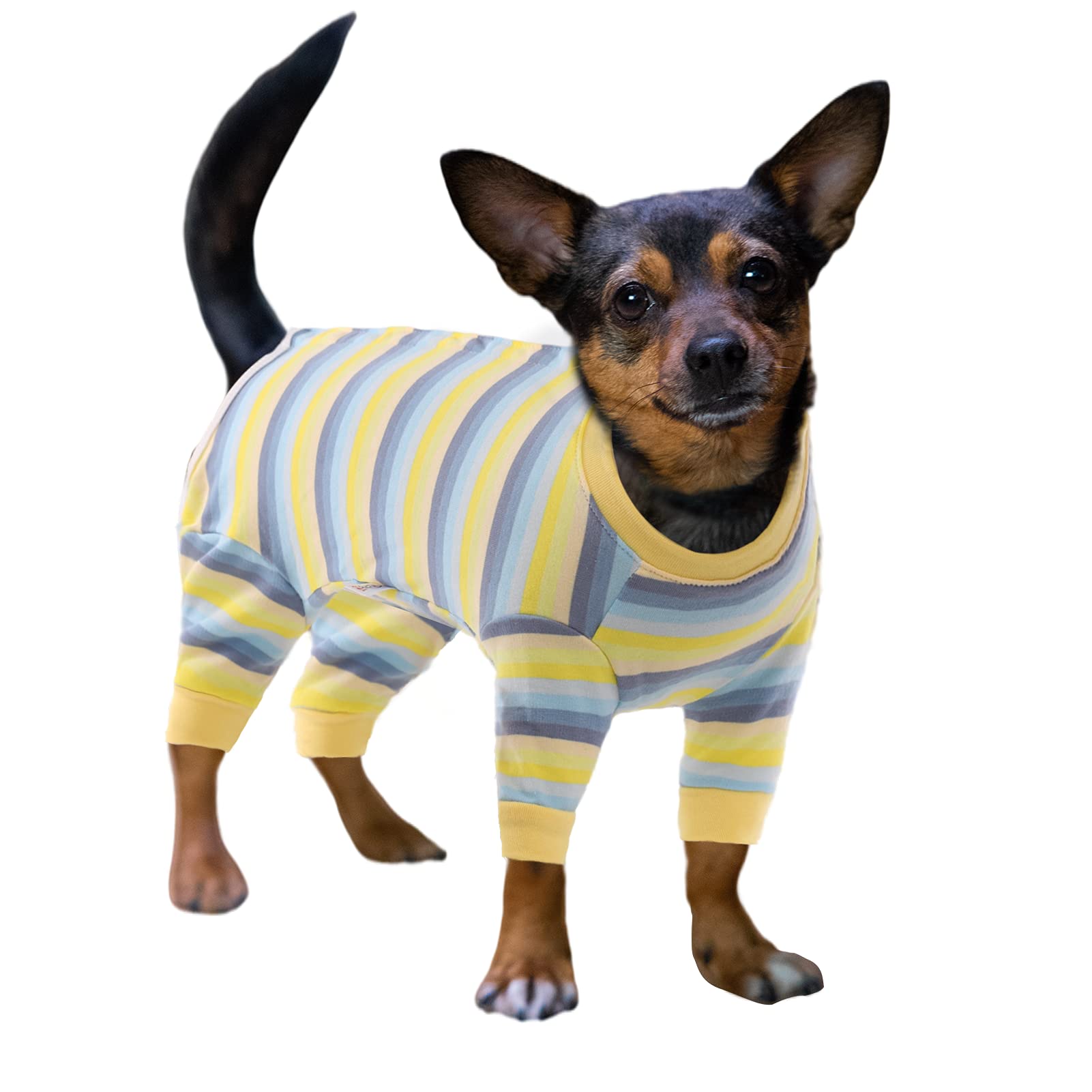 Buy Gorsbark Recovery Suit for Dog Cat after Surgery, Neutering