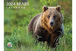 Grateful Dead 2024 Wall Calendar