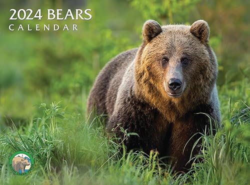 Calendario de osos 2024