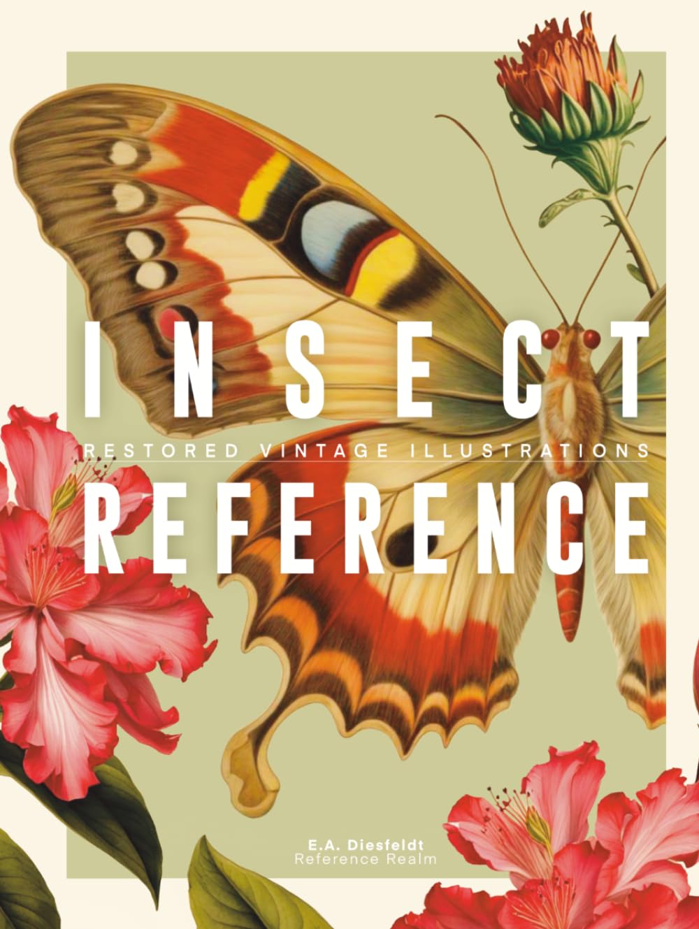 Insect Reference Book: Restored Vintage Illustrations for Artists and Designers (Reference Realm)