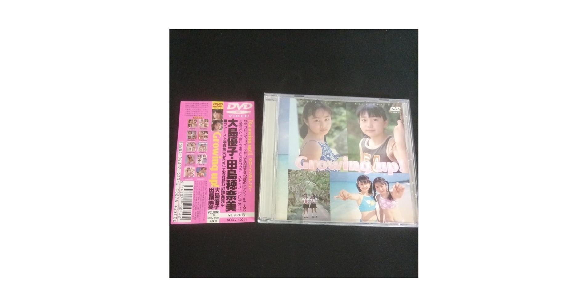 Amazon.co.jp: DVD 大島優子 田島穂奈美 ファーストイメージ