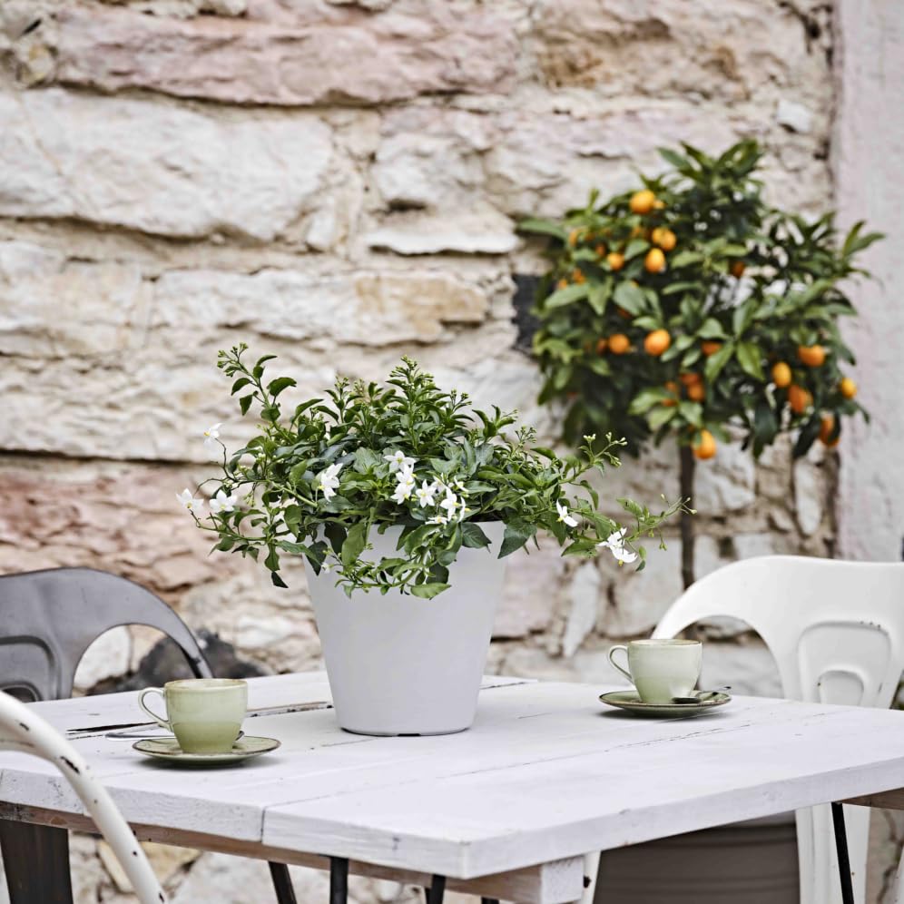 Fioriera vaso Sierra in plastica riciclata TeraPlast - Shop online