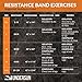 Undersun Fitness Home Gym & Exercise Equipment - Muscle Building Workout Program with 5-Band Home Workout Resistance Rubber Bands Set- 5 Different Levels of Resistance Bands.