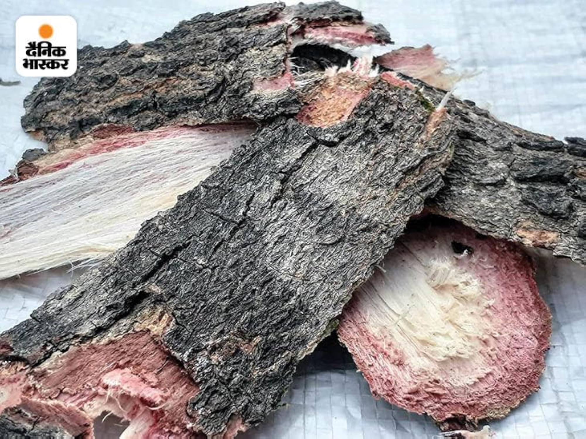 Natural Organic Neem Bark, 200g, Ayurvedic Herb