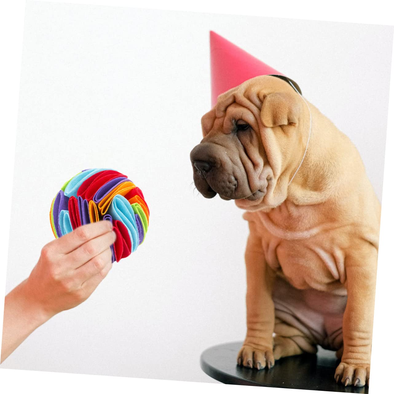 FRCOLOR 3stücke Hunde-schnüffelball Für Haustiere Interaktives Spielzeug Bunten Farben Fördert Das Kauen Und Unterstützt Die Zahngesundheit Für Welpen Und Kleine Hunde Beschäftigt