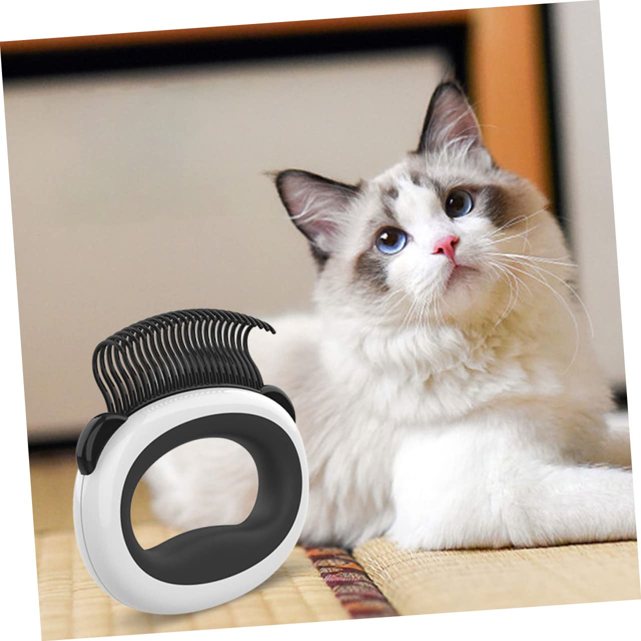 Supvox 5stücke Katzenbürste Für Effektives Fellstyling Komfortable Pflegebürste Mit Weichen Zähnen Zur Sanften Entfernung Von Losem Haar Und Unterwolle Für Katzen Und Kätzchen