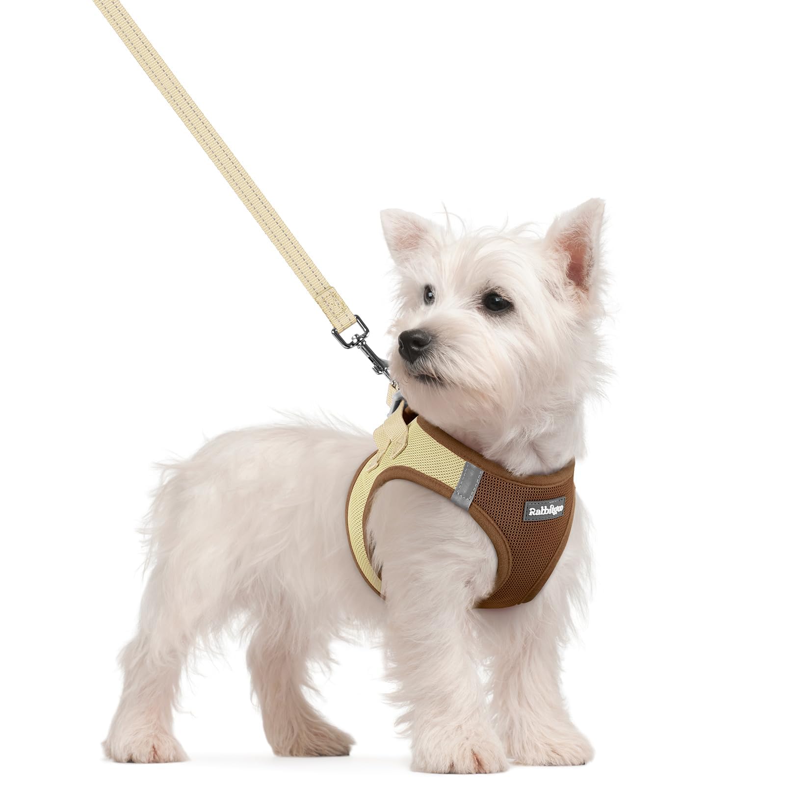 rabbitgoo Dog Harness Small Dog and Leash Set, Step-in Soft Mesh Puppy Harness with Reflective Strips, Lightweight Breathable Pet Vest for Walking Training, Brown & Beige, S