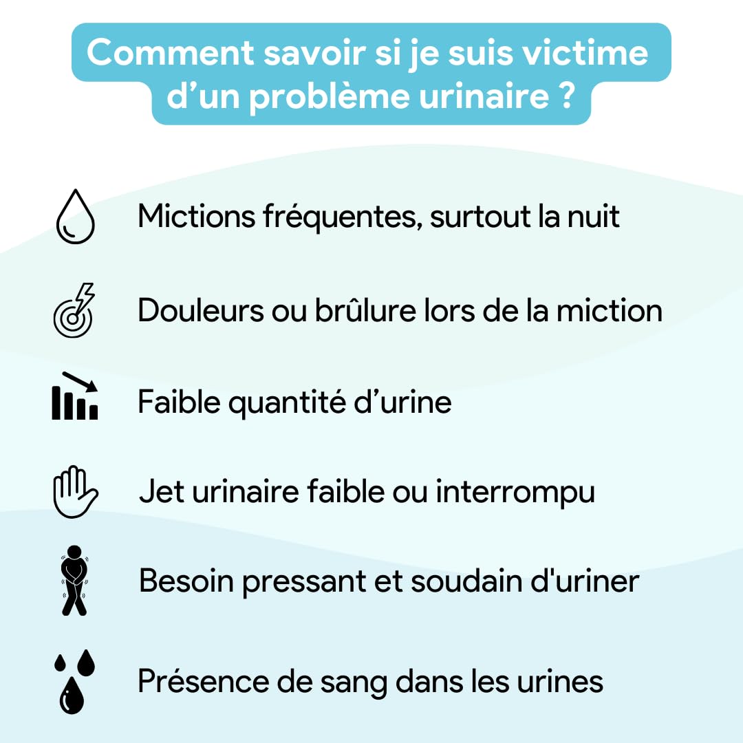 Prostatex • Confort urinaire & HBP | Prostate | Formule naturelle et vegan avec Saw palmetto, Ortie, Pépin de courge, Palmier nain, Pygeum africanum, Prunier d'afrique • Made in France - 120 gélules