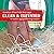 Nest Box Pads for Chicken Nesting Boxes - 13 x 13 Pads Made in USA from Sustainably Sourced Aspen Excelsior (5 Pack)