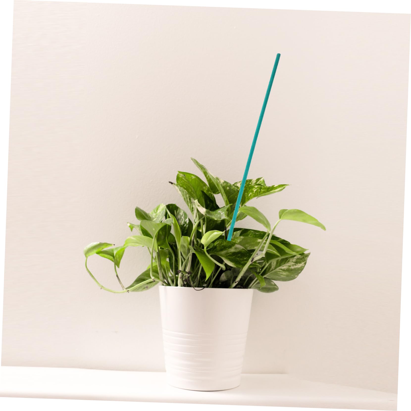 Toyvian 3 Ensembles Support de Plantes Ensemble de Tuteurs Clips Fils pour Fleurs Plantes Grimpantes Accessoires de Jardinage Pratiques pour Droite Tiges