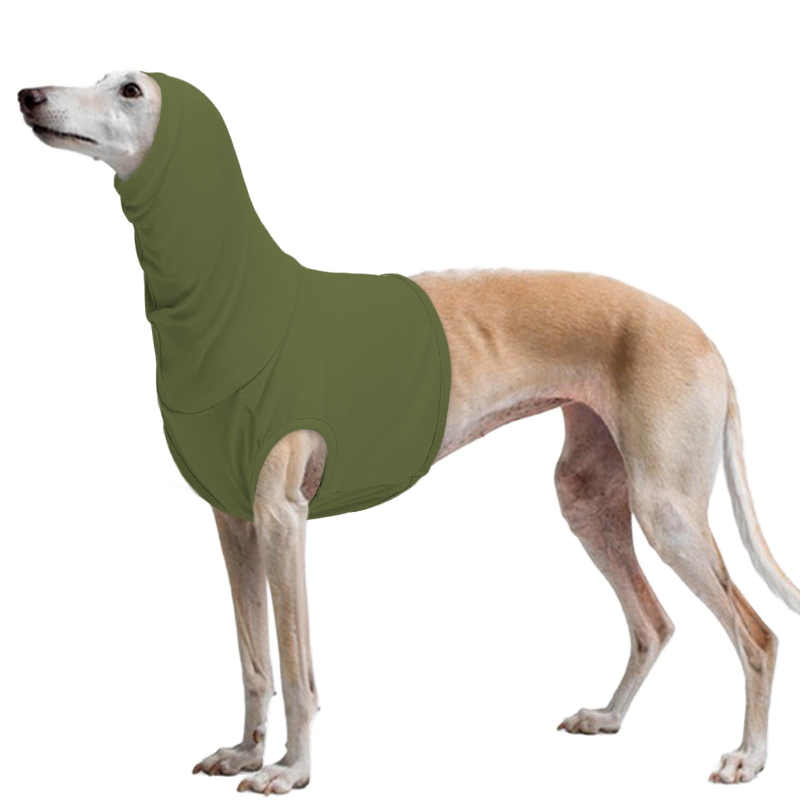 PUMYPOREITY Dog Body Suit Neck Protection, Snood For Neck Wounds No Flap Ear Wrap For Dogs Shirt After Surgery With Snood, Covers The Neck-Area After Lump Removed On-Neck(Army green, XL) — image 1