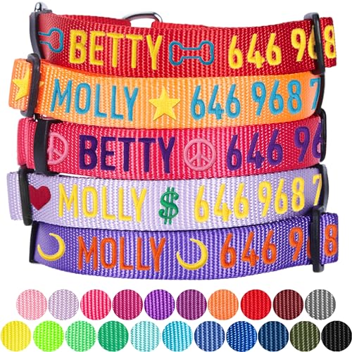 Blueberry Pet Classic Martingale Personalized Collars